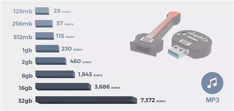 how much music can 16gb hold and the role of music in our lives