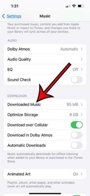 how to remove downloaded music from iphone and explore the history of music streaming services