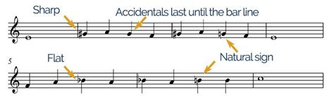 what are accidentals in music and how do they relate to the concept of quantum mechanics?